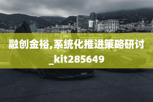 融创金裕,系统化推进策略研讨_kit285649