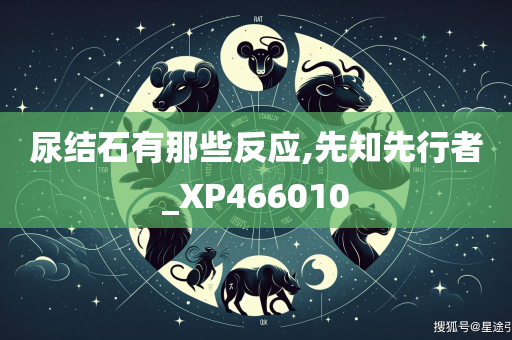 尿结石有那些反应,先知先行者_XP466010