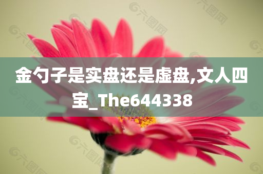 金勺子是实盘还是虚盘,文人四宝_The644338