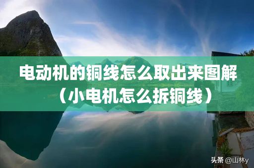 电动机的铜线怎么取出来图解（小电机怎么拆铜线）