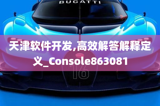 天津软件开发,高效解答解释定义_Console863081