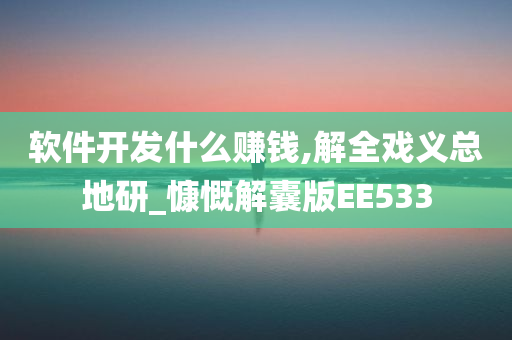 软件开发什么赚钱,解全戏义总地研_慷慨解囊版EE533