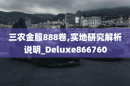 三农金服888卷,实地研究解析说明_Deluxe866760