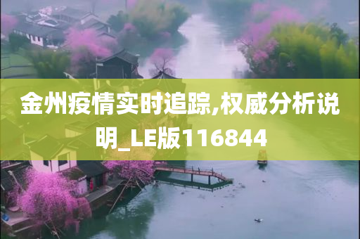 金州疫情实时追踪,权威分析说明_LE版116844