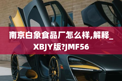 南京白象食品厂怎么样,解释_XBJY版?JMF56