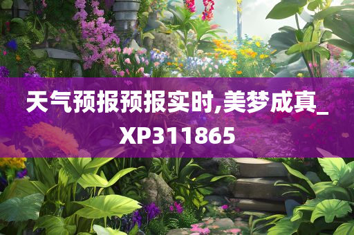 天气预报预报实时,美梦成真_XP311865