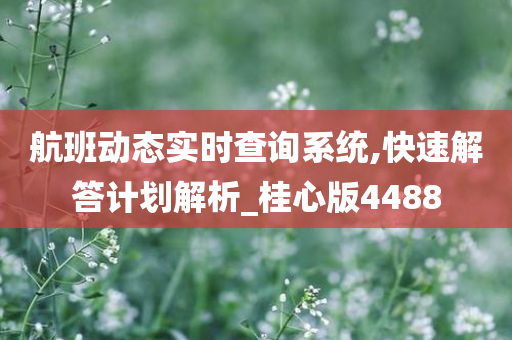 航班动态实时查询系统,快速解答计划解析_桂心版4488