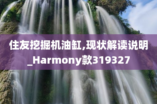 住友挖掘机油缸,现状解读说明_Harmony款319327