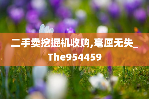 二手卖挖掘机收购,毫厘无失_The954459