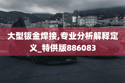 大型钣金焊接,专业分析解释定义_特供版886083