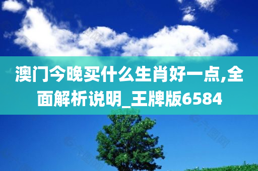 澳门今晚买什么生肖好一点,全面解析说明_王牌版6584