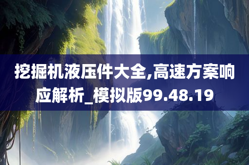 挖掘机液压件大全,高速方案响应解析_模拟版99.48.19