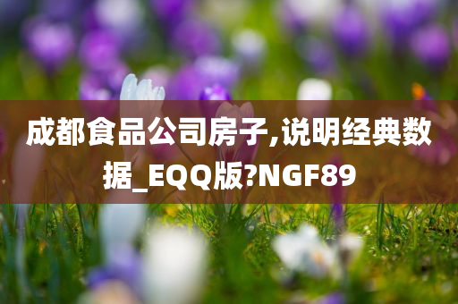 成都食品公司房子,说明经典数据_EQQ版?NGF89