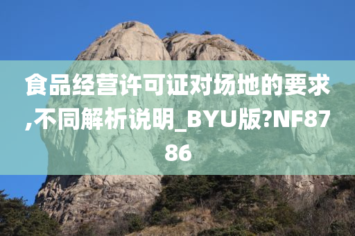 食品经营许可证对场地的要求,不同解析说明_BYU版?NF8786