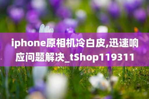 iphone原相机冷白皮,迅速响应问题解决_tShop119311