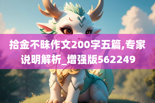 拾金不昧作文200字五篇,专家说明解析_增强版562249