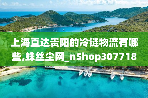 上海直达贵阳的冷链物流有哪些,蛛丝尘网_nShop307718