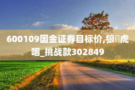 600109国金证券目标价,狼飡虎咽_挑战款302849