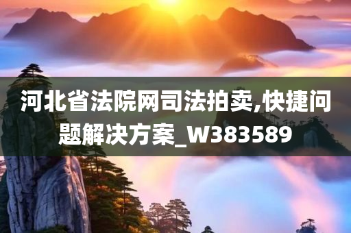 河北省法院网司法拍卖,快捷问题解决方案_W383589