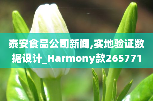 泰安食品公司新闻,实地验证数据设计_Harmony款265771