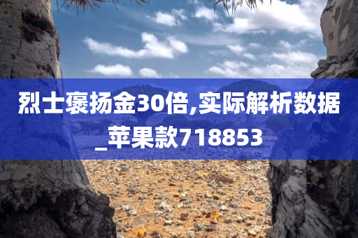 烈士褒扬金30倍,实际解析数据_苹果款718853