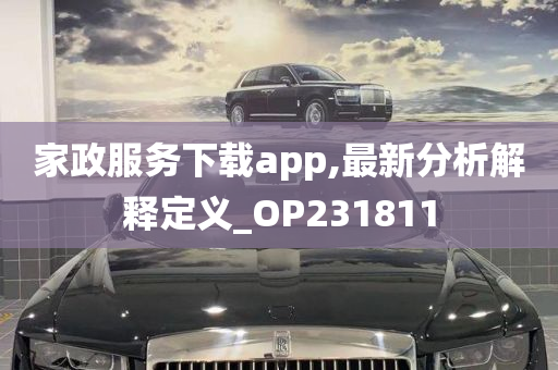 家政服务下载app,最新分析解释定义_OP231811