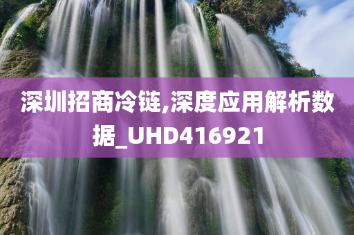 深圳招商冷链,深度应用解析数据_UHD416921