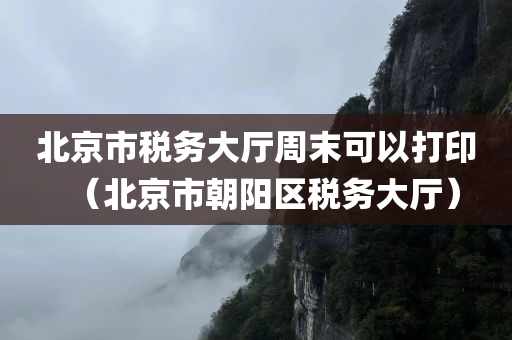 北京市税务大厅周末可以打印（北京市朝阳区税务大厅）