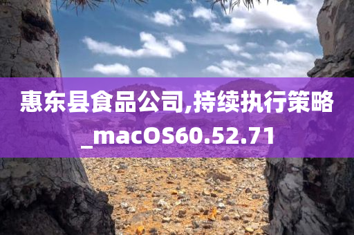 惠东县食品公司,持续执行策略_macOS60.52.71