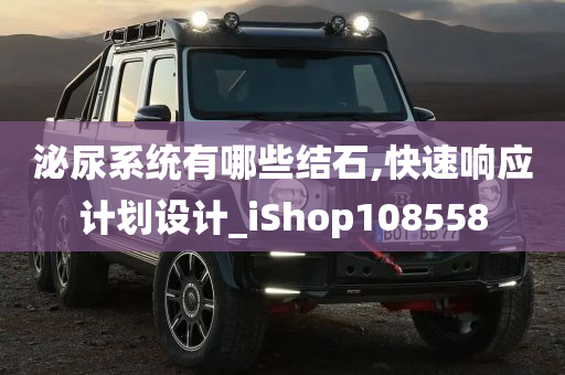 泌尿系统有哪些结石,快速响应计划设计_iShop108558