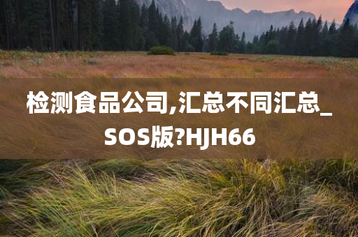 检测食品公司,汇总不同汇总_SOS版?HJH66