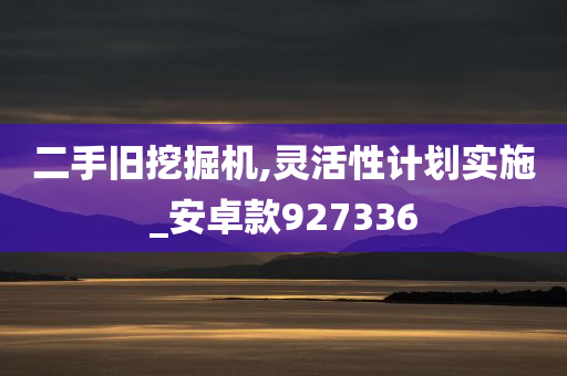 二手旧挖掘机,灵活性计划实施_安卓款927336