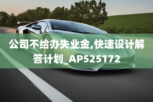 公司不给办失业金,快速设计解答计划_AP525172