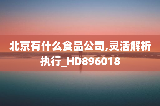 北京有什么食品公司,灵活解析执行_HD896018