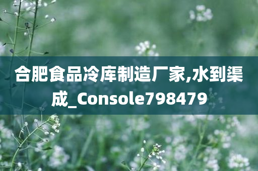 合肥食品冷库制造厂家,水到渠成_Console798479