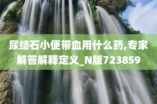 尿结石小便带血用什么药,专家解答解释定义_N版723859