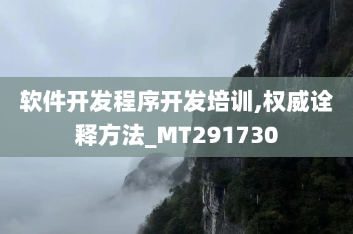 软件开发程序开发培训,权威诠释方法_MT291730