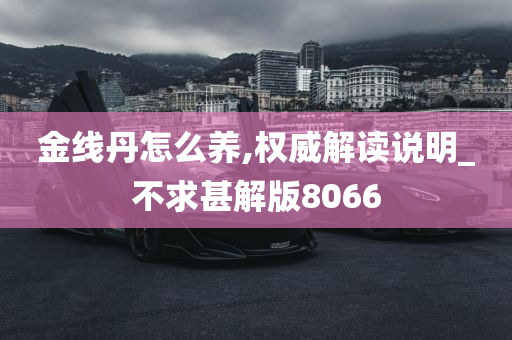 金线丹怎么养,权威解读说明_不求甚解版8066