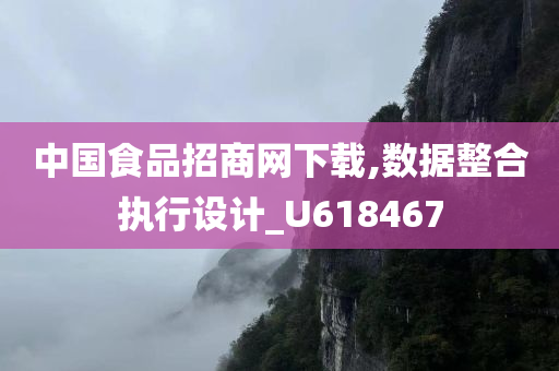 中国食品招商网下载,数据整合执行设计_U618467