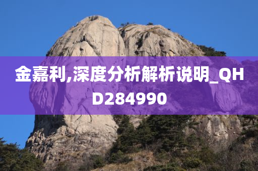 金嘉利,深度分析解析说明_QHD284990