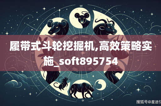 履带式斗轮挖掘机,高效策略实施_soft895754