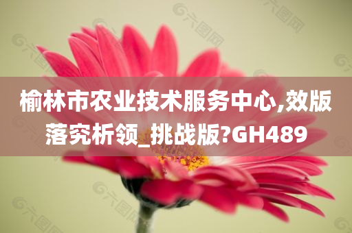 榆林市农业技术服务中心,效版落究析领_挑战版?GH489