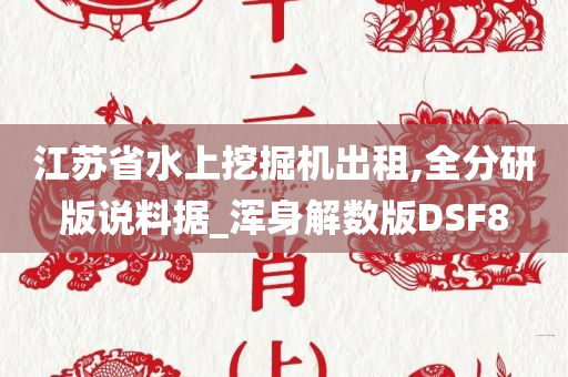 江苏省水上挖掘机出租,全分研版说料据_浑身解数版DSF8