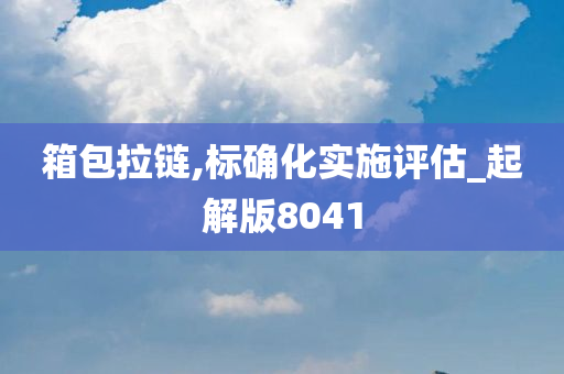 箱包拉链,标确化实施评估_起解版8041