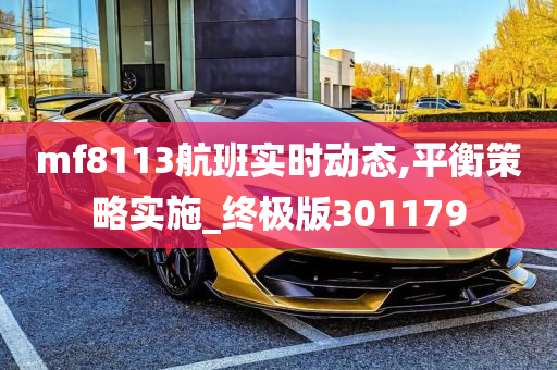 mf8113航班实时动态,平衡策略实施_终极版301179