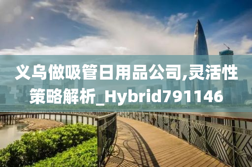 义乌做吸管日用品公司,灵活性策略解析_Hybrid791146