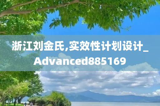 浙江刘金氏,实效性计划设计_Advanced885169