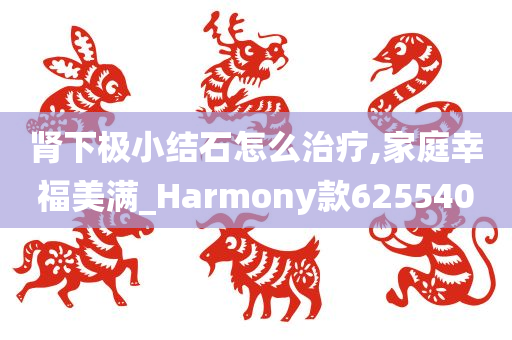 肾下极小结石怎么治疗,家庭幸福美满_Harmony款625540