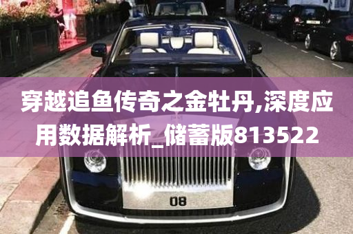 穿越追鱼传奇之金牡丹,深度应用数据解析_储蓄版813522