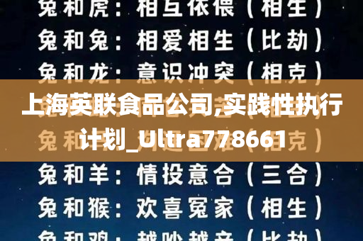 上海英联食品公司,实践性执行计划_Ultra778661